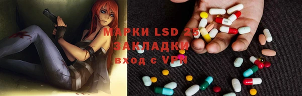 ГАЛЛЮЦИНОГЕННЫЕ ГРИБЫ Медвежьегорск