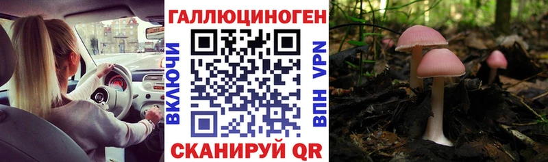 Псилоцибиновые грибы GOLDEN TEACHER  Электросталь 